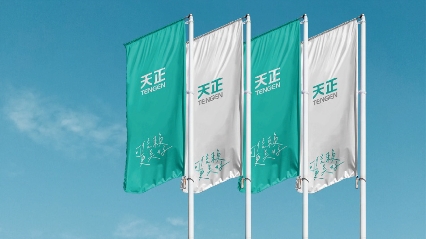 天正图片-12.jpg
