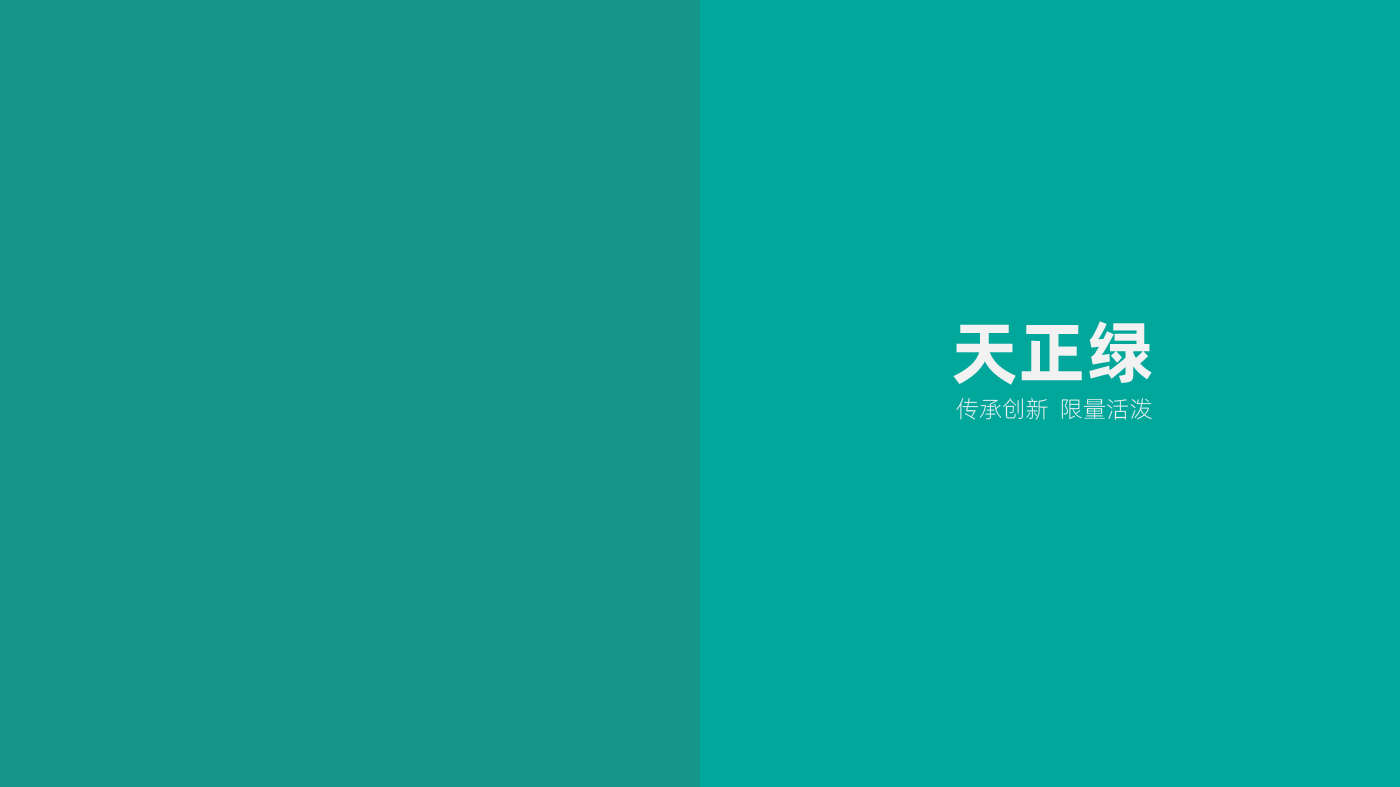 天正图片-08.jpg