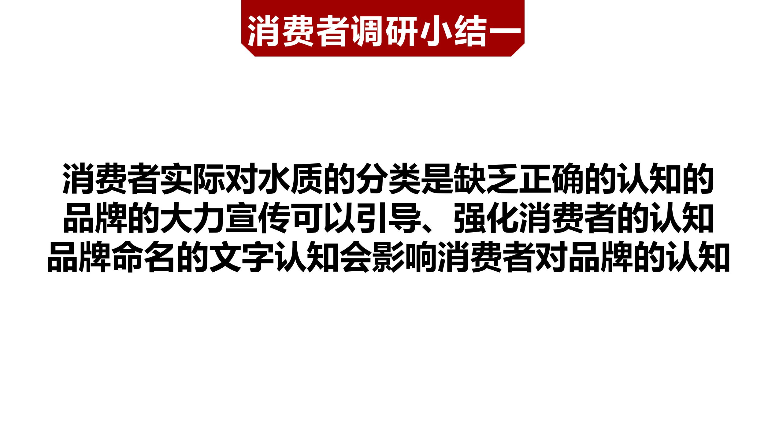 市场调研报告_01(14).jpg