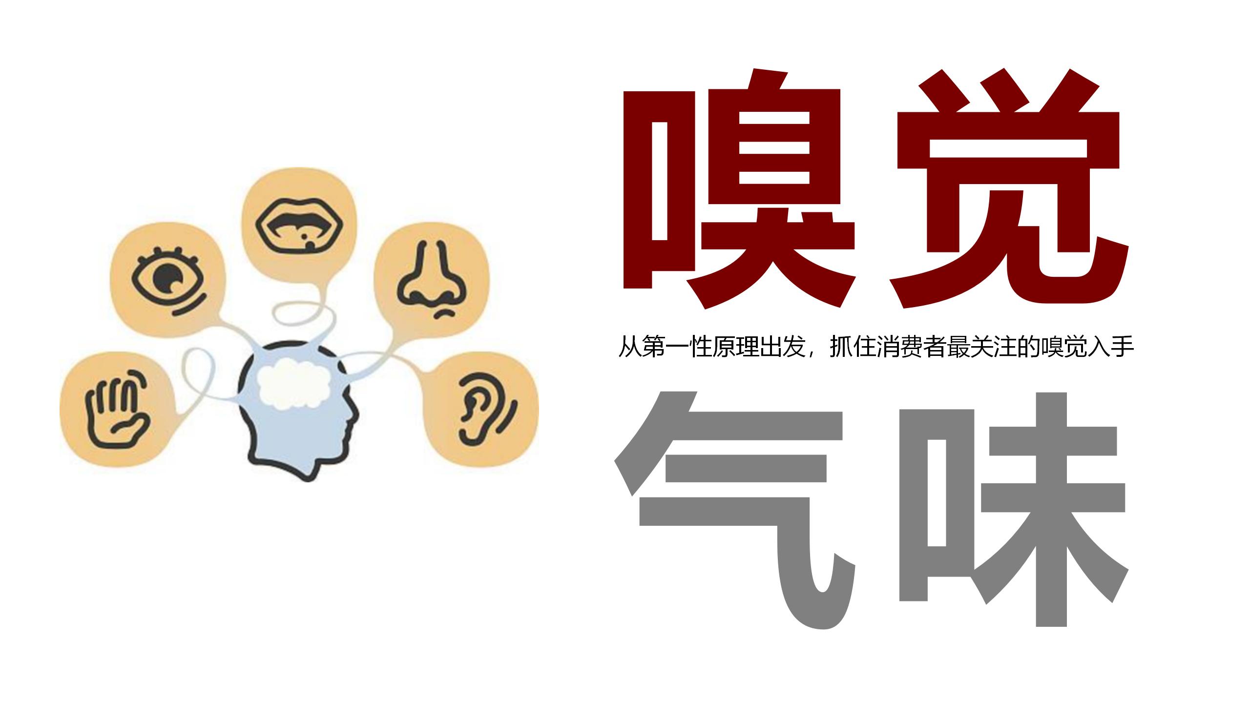方西瓜品牌策略-20200809（STDP定位+广告语）_01(2).jpg