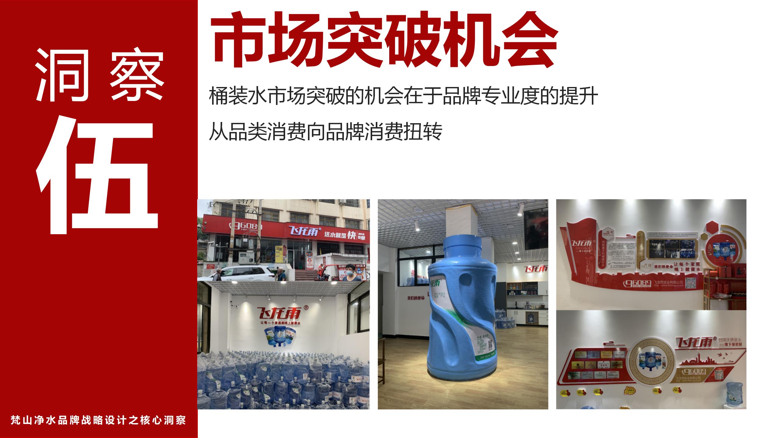 市场调研报告_01(13).jpg