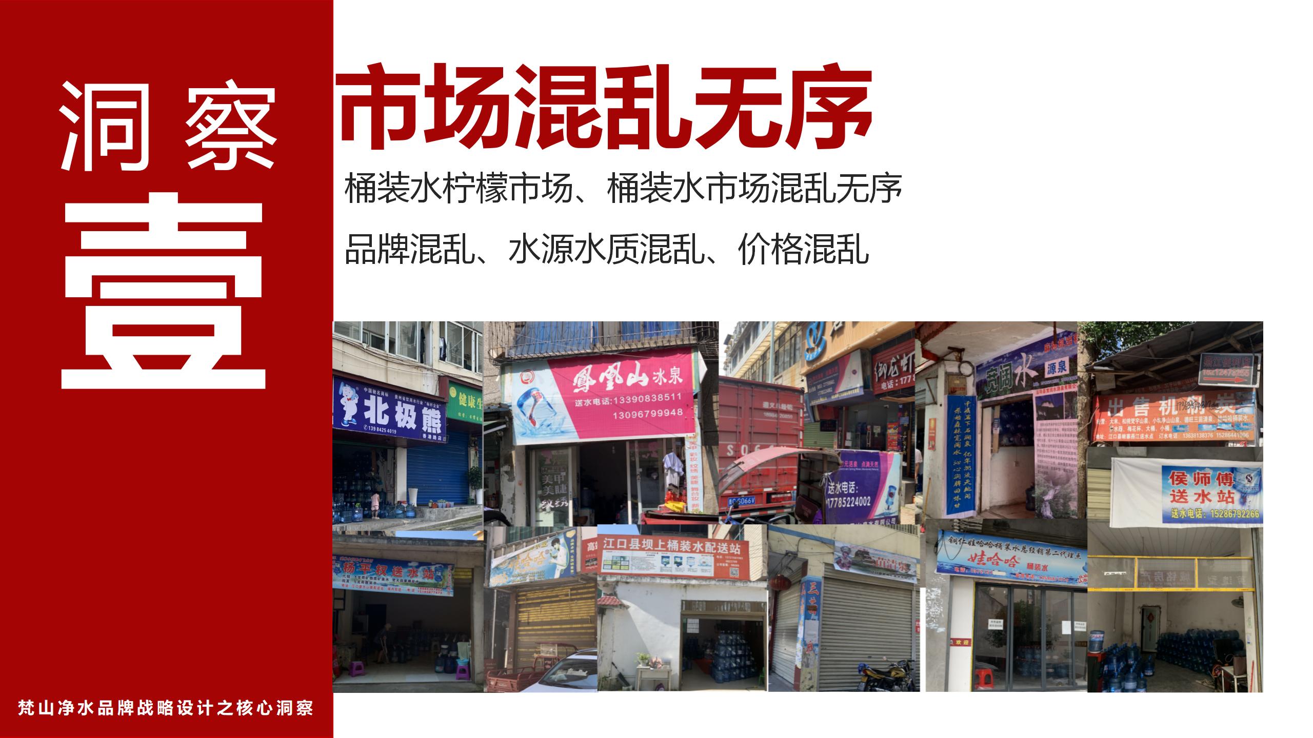 市场调研报告_01(9).jpg